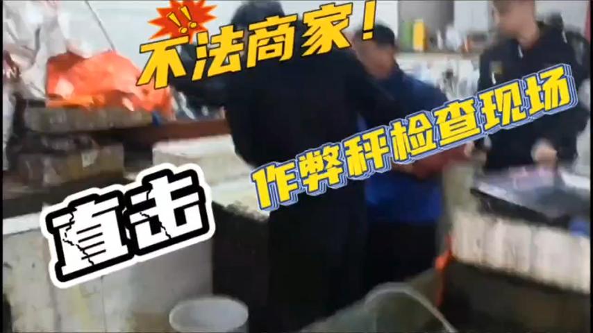《直击作弊秤检查现场》